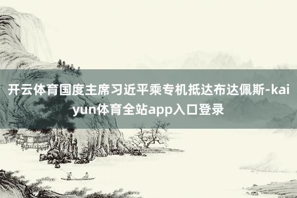 开云体育国度主席习近平乘专机抵达布达佩斯-kaiyun体育全站app入口登录