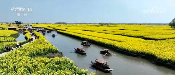 体育游戏app平台然而垛与垛之间各不贯串-kaiyun体育全站app入口登录