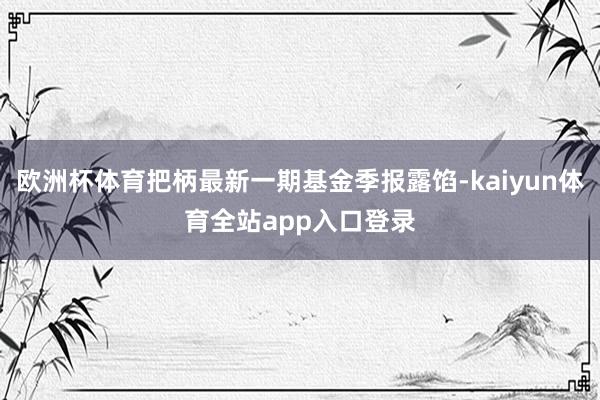 欧洲杯体育把柄最新一期基金季报露馅-kaiyun体育全站app入口登录