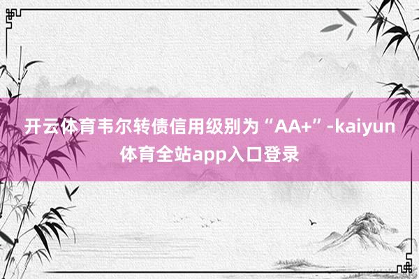 开云体育韦尔转债信用级别为“AA+”-kaiyun体育全站app入口登录