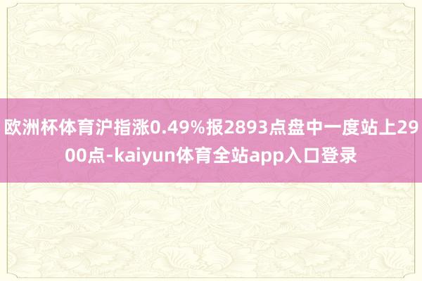 欧洲杯体育沪指涨0.49%报2893点盘中一度站上2900点-kaiyun体育全站app入口登录