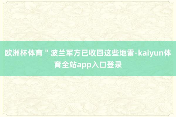 欧洲杯体育＂波兰军方已收回这些地雷-kaiyun体育全站app入口登录